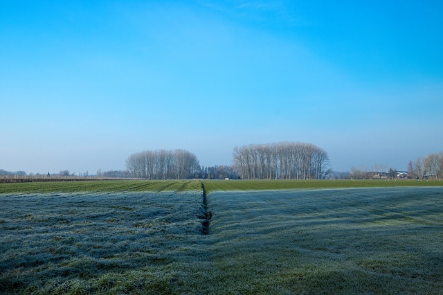 Bijles in Rijswijk